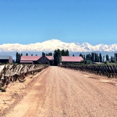 Winery in Mendoza, Argentina